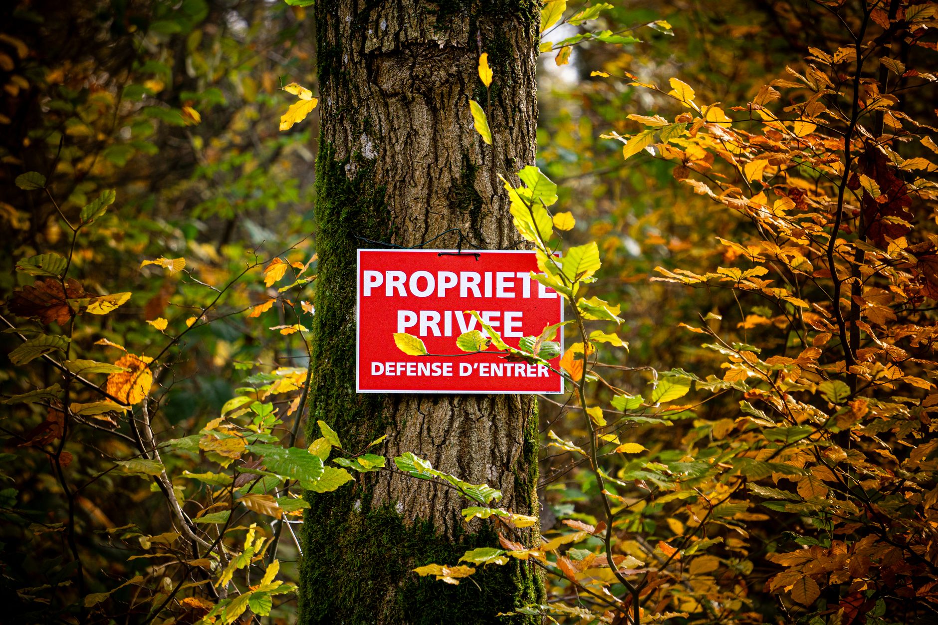 Détective privé à Limoges